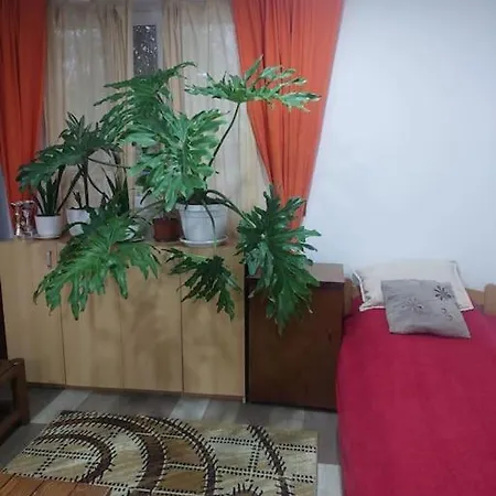 Mandarina Lux Apartment *