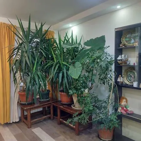 Apartment Mandarina Lux *